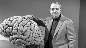 Hoimar von Ditfurth, tıp eğitiminin ardından psikiyatri ve nöroloji alanlarında uzmanlaştı. Bilimsel çalışmalarının merkezinde insan zihni, bilinç ve evrimsel süreçler yer aldı. Özellikle biyoloji ve evrim konularına duyduğu ilgi, onu klasik tıp kariyerinin ötesine taşıdı.