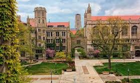 Chicago Ekonomi Okulu, yalnızca bir akademik yaklaşım değil; aynı zamanda para politikası, rekabet teorisi, kamu ekonomisi ve hukuk-ekonomi ilişkisi gibi birçok alanda etkili olmuş geniş bir düşünce sistemidir.