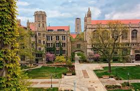 Chicago Ekonomi Okulu, yalnızca bir akademik yaklaşım değil; aynı zamanda para politikası, rekabet teorisi, kamu ekonomisi ve hukuk-ekonomi ilişkisi gibi birçok alanda etkili olmuş geniş bir düşünce sistemidir.