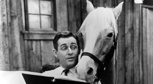 Alan Young, 1919 yılında İngiltere’nin Northumberland bölgesinde dünyaya gelmiştir. Ailesi kısa süre sonra Kanada’ya taşınmış ve Young’un çocukluğu burada geçmiştir. Genç yaşlardan itibaren radyo programlarına ilgi duyan Young, özellikle komedi yeteneği sayesinde dikkat çekmeye başlamıştır.