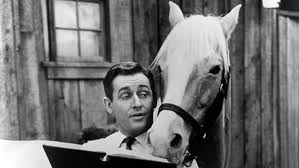Alan Young, 1919 yılında İngiltere’nin Northumberland bölgesinde dünyaya gelmiştir. Ailesi kısa süre sonra Kanada’ya taşınmış ve Young’un çocukluğu burada geçmiştir. Genç yaşlardan itibaren radyo programlarına ilgi duyan Young, özellikle komedi yeteneği sayesinde dikkat çekmeye başlamıştır.