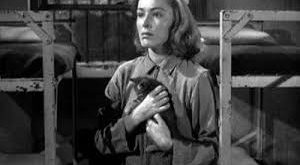 Amerikan sahne ve sinema dünyasının üretken ama çoğu zaman arka planda kalmış isimlerinden biri olan Betty Garde, özellikle güçlü karakter rolleri ve çok yönlü oyunculuğuyla dikkat çekmiştir.