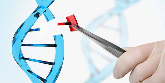 Bilim ve teknolojide yaşanan hızlı gelişmeler, insanlığın doğayı anlama ve yaşamı dönüştürme kapasitesini her geçen gün artırmaktadır. Bu gelişmelerin en dikkat çekici alanlarından biri olan genetik mühendisliği, canlıların genetik yapısını değiştirmeye, geliştirmeye veya yeniden düzenlemeye olanak tanıyan modern bir bilim dalıdır.