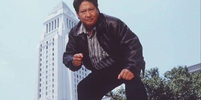 Hong Kong aksiyon sinemasının gelişiminde büyük pay sahibi olan isimlerden biri olan Sammo Hung Kam-bo, yalnızca başarılı bir dövüş sanatçısı değil; aynı zamanda oyuncu, yönetmen, yapımcı, senarist ve aksiyon koreografı olarak sinema tarihine damga vurmuş çok yönlü bir sanatçıdır. Kariyeri altmış yılı aşkın bir döneme yayılan Hung, Hong Kong sinemasının uluslararası başarı kazanmasında önemli rol oynarken, yetiştirdiği sanatçılar ve geliştirdiği aksiyon anlayışıyla da modern dövüş sinemasının şekillenmesine katkıda bulunmuştur.
