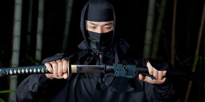 Ninja, Japon tarihinin en gizemli ve en çok ilgi gören figürlerinden biri olarak yüzyıllardır insanların hayal gücünü beslemektedir. Filmler, romanlar, çizgi romanlar, video oyunları ve televizyon dizileri sayesinde dünya çapında tanınan ninjalar, çoğu zaman doğaüstü yeteneklere sahip savaşçılar olarak tasvir edilse de tarihsel gerçekler bu popüler imajdan oldukça farklıdır.