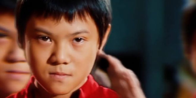 Çin dövüş sanatları sinemasının genç kuşak temsilcileri arasında öne çıkan isimlerden biri olan Zhenwei Wang, sahip olduğu üstün wushu yeteneklerini başarılı oyunculuğuyla birleştirerek uluslararası alanda tanınmayı başarmıştır. Özellikle 2010 yapımı The Karate Kid filmindeki Cheng karakteriyle dünya çapında ün kazanan Wang, küçük yaşlardan itibaren aldığı disiplinli spor eğitiminin avantajını sinema kariyerine başarılı şekilde yansıtmıştır.