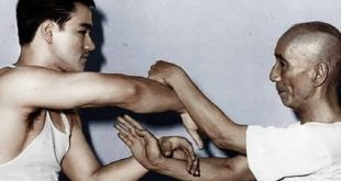 Dövüş sanatları tarihinde adı en çok saygıyla anılan ustalardan biri olan Yip Man (Ip Man), Wing Chun stilini Çin sınırlarının dışına taşıyan ve bu dövüş sanatının dünya çapında tanınmasını sağlayan büyük bir kung fu ustasıdır. En çok Bruce Lee'nin öğretmeni olarak tanınsa da, Yip Man'ın mirası bundan çok daha geniştir.