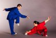Baguazhang, Çin'in en önemli içsel dövüş sanatlarından biri olarak kabul edilen, sürekli dairesel hareketler, akıcı ayak çalışmaları ve stratejik yön değiştirme teknikleri üzerine kurulu geleneksel bir savaş sanatıdır. Çin dövüş sanatlarının en sofistike sistemlerinden biri olarak görülen Baguazhang, yalnızca fiziksel mücadeleyi değil, aynı zamanda denge, koordinasyon, nefes kontrolü, zihinsel farkındalık ve beden-zihin uyumunu geliştirmeyi amaçlar.