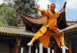 Shaolin Tapınağı, yalnızca Çin'in değil, tüm dünyanın en tanınmış Budist tapınaklarından biridir. Yüzyıllardır hem dini hem de kültürel açıdan büyük önem taşıyan bu tarihi yapı, özellikle Shaolin kung fu geleneği sayesinde uluslararası ün kazanmıştır. Günümüzde milyonlarca insan tarafından ziyaret edilen Shaolin Tapınağı, Budizm, meditasyon, dövüş sanatları ve disiplin kavramlarını aynı çatı altında birleştiren eşsiz bir merkez olarak kabul edilmektedir.