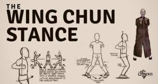 Wing Chun, hız, denge, doğru zamanlama ve minimum güçle maksimum etki elde etmeyi amaçlayan geleneksel bir Çin dövüş sanatıdır. Yakın mesafeli mücadeleye odaklanan bu disiplin, karmaşık ve gösterişli hareketlerden ziyade pratik, etkili ve ekonomik teknikleriyle tanınır. Yüzyıllar boyunca gelişimini sürdüren Wing Chun, günümüzde hem kişisel savunma sistemi hem de fiziksel ve zihinsel gelişimi destekleyen bir savaş sanatı olarak dünyanın birçok ülkesinde uygulanmaktadır.