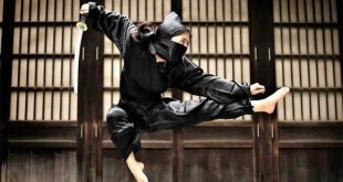 Ninjutsu, Japonya'nın en gizemli ve en çok merak edilen savaş sanatlarından biri olarak kabul edilen, casusluk, keşif, hayatta kalma, strateji ve yakın savunma tekniklerini bir araya getiren geleneksel bir savaş sistemidir. Yüzyıllar boyunca Japonya'nın feodal döneminde görev yapan ninjalar tarafından geliştirilen bu disiplin, yalnızca dövüş becerilerinden ibaret değildir. Gizlilik, çevreyi doğru kullanma, hızlı karar verme, fiziksel dayanıklılık ve zihinsel disiplin gibi birçok farklı yeteneği kapsayan kapsamlı bir eğitim anlayışına sahiptir.