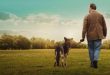 Afterlife, Stephen Volk tarafından yaratılan ve 2005 yılında ITV ekranlarında yayınlanmaya başlayan İngiliz yapımı gizem, drama ve doğaüstü türündeki bir televizyon dizisidir. Başrollerini Lesley Sharp ve Andrew Lincoln'ün paylaştığı yapım, medyum Alison Mundy ile paranormal olaylara akademik açıdan yaklaşan Robert Bridge arasındaki ilişki üzerinden ilerler.