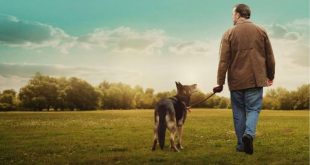 Afterlife, Stephen Volk tarafından yaratılan ve 2005 yılında ITV ekranlarında yayınlanmaya başlayan İngiliz yapımı gizem, drama ve doğaüstü türündeki bir televizyon dizisidir. Başrollerini Lesley Sharp ve Andrew Lincoln'ün paylaştığı yapım, medyum Alison Mundy ile paranormal olaylara akademik açıdan yaklaşan Robert Bridge arasındaki ilişki üzerinden ilerler.