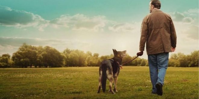 Afterlife, Stephen Volk tarafından yaratılan ve 2005 yılında ITV ekranlarında yayınlanmaya başlayan İngiliz yapımı gizem, drama ve doğaüstü türündeki bir televizyon dizisidir. Başrollerini Lesley Sharp ve Andrew Lincoln'ün paylaştığı yapım, medyum Alison Mundy ile paranormal olaylara akademik açıdan yaklaşan Robert Bridge arasındaki ilişki üzerinden ilerler.