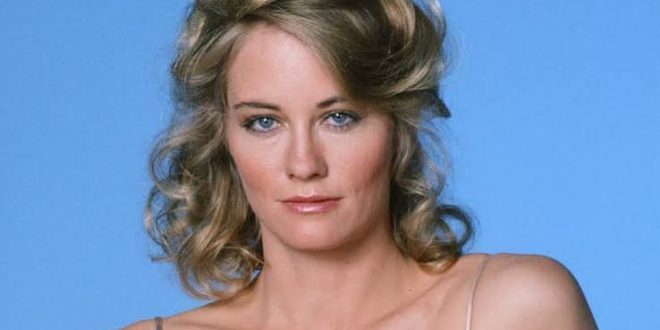 Cybill Shepherd, Amerikan sinemasının ve televizyon dünyasının unutulmaz kadın oyuncularından biri olmasının yanı sıra şarkıcılık ve modellik alanlarında da kariyer yapmış çok yönlü bir sanatçıdır. 1970'li yıllarda genç bir model olarak dikkatleri üzerine çeken Shepherd, kısa süre içerisinde beyaz perdeye geçerek dönemin önemli yönetmenleriyle çalışma fırsatı yakaladı.