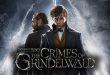 Fantastik Canavarlar: Grindelwald’ın Suçları, 2018 yılında vizyona giren ve Wizarding World evrenini genişleten önemli fantastik filmlerden biri. Özgün adı Fantastic Beasts: The Crimes of Grindelwald olan yapım, David Yates tarafından yönetiliyor ve senaryosu J. K. Rowling tarafından kaleme alınıyor. 2016 tarihli Fantastik Canavarlar Nelerdir, Nerede Bulunurlar? filminin devamı olan yapım, Newt Scamander’ın macerasını sürdürürken hikâyenin ağırlık merkezini giderek Albus Dumbledore ve Gellert Grindelwald arasındaki geçmişe taşıyor.