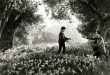 Vadim O Kadar Yeşildi ki (How Green Was My Valley), 1941 yılında yönetmen John Ford tarafından sinemaya aktarılan ve Amerikan sinemasının klasik döneminden günümüze ulaşan en önemli aile dramalarından biri olarak kabul edilen filmlerden biridir. Richard Llewellyn'in aynı adlı romanından uyarlanan yapım, Galler'de yaşayan Morgan ailesinin hayatı üzerinden işçi sınıfının yaşamını, aile bağlarını, toplumsal değişimi, inancı, dayanışmayı ve kayıpların insan üzerindeki etkisini anlatır.