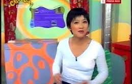İngiliz televizyonunun farklı kuşaklara hitap eden tanınmış isimlerinden Pui Fan Lee, özellikle çocuk programlarıyla geniş bir izleyici kitlesine ulaşmış oyuncu ve televizyon sunucusudur. Adı dünya çapında en çok Teletubbies dizisindeki Po karakteriyle anılan sanatçı, aslında bu ikonik rolün çok daha ötesine uzanan uzun bir kariyere sahiptir.