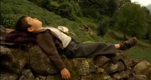 2010 yılında vizyona giren Bal, yönetmen ve senarist Semih Kaplanoğlu’nun sinema kariyerindeki en önemli yapımlardan biri olmasının yanı sıra, Türk sinema tarihinin uluslararası alanda en büyük başarılarından birine imza atan filmler arasında yer alır. Yönetmenin Yusuf Üçlemesinin kronolojik olarak ilk, gösterim sırasına göre ise son halkasını oluşturan film; çocukluk, aile bağları, doğa, inanç, sessizlik ve büyüme temalarını şiirsel bir anlatımla bir araya getirir.