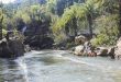 Jurassic Park, 1993 yılında sinemaseverlerle buluşan, yönetmenliğini Steven Spielberg’in yaptığı bilimkurgu, macera ve gerilim türlerinin başarılı bir birleşimidir. Michael Crichton’ın aynı adlı romanından beyazperdeye uyarlanan film, dinozorların milyonlarca yıl sonra yeniden hayata döndürülmesi fikrini merkezine alır. Ancak yapımın asıl gücü, yalnızca tarih öncesi canlıları göstermekten değil, insanın bilim ve teknoloji aracılığıyla doğayı kontrol etme arzusunu sorgulamasından kaynaklanır.