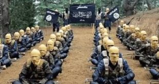 Irak ve Şam İslam Devleti-Horasan Vilayeti, IŞİD'in Güney ve Orta Asya'da örgütlenmek amacıyla oluşturduğu yapılanmalardan biridir. Uluslararası kaynaklarda IŞİD-H veya IS-K kısaltmalarıyla anılan örgüt, 26 Ocak 2015'te kuruluşunu ilan etmiştir. Afganistan ve Pakistan başta olmak üzere bölgedeki çeşitli ülkelerde faaliyet gösteren yapılanma, sivillere yönelik saldırıları ve diğer silahlı gruplarla yaşadığı çatışmalar nedeniyle uluslararası güvenlik gündeminde yer almıştır.