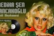Türk sanat müziğinin köklü geleneği içerisinde hem yorumculuğuyla hem de bestecilik çalışmalarıyla öne çıkan isimlerden biri Mediha Şen Sancakoğlu'dur. Radyo yayınlarından plaklara, canlı sahne performanslarından beste yarışmalarına uzanan sanat yolculuğu, onun müzik dünyasında farklı alanlarda varlık gösterdiğini ortaya koyar. Geleneksel Türk musikisinin inceliklerini benimseyen sanatçı, zamanla kendi şiirlerini ve bestelerini üreterek yorumculuğunun ötesine geçen bir sanat kimliği geliştirmiştir.