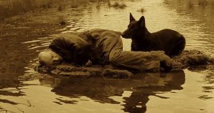 1979 yapımı Stalker, Sovyet sinemasının en özgün yönetmenlerinden Andrey Tarkovski’nin sinema tarihine bıraktığı en etkileyici eserlerden biridir. Bilimkurgu türünün sınırlarını aşan film; insanın arzularını, inançlarını, korkularını ve kendi iç dünyasıyla kurduğu ilişkiyi şiirsel bir anlatımla ele alır. İlk bakışta gizemli bir bölgeye yapılan tehlikeli yolculuğu konu alan yapım, ilerledikçe yalnızca fiziksel bir keşif hikâyesi olmaktan çıkar ve insan ruhunun derinliklerine yönelen felsefi bir deneyime dönüşür.