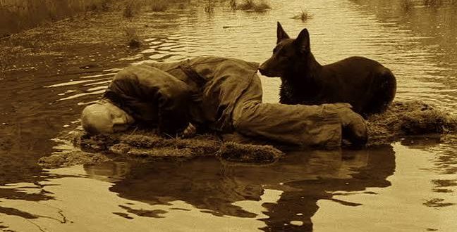1979 yapımı Stalker, Sovyet sinemasının en özgün yönetmenlerinden Andrey Tarkovski’nin sinema tarihine bıraktığı en etkileyici eserlerden biridir. Bilimkurgu türünün sınırlarını aşan film; insanın arzularını, inançlarını, korkularını ve kendi iç dünyasıyla kurduğu ilişkiyi şiirsel bir anlatımla ele alır. İlk bakışta gizemli bir bölgeye yapılan tehlikeli yolculuğu konu alan yapım, ilerledikçe yalnızca fiziksel bir keşif hikâyesi olmaktan çıkar ve insan ruhunun derinliklerine yönelen felsefi bir deneyime dönüşür.