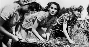 Sinema tarihinde bazı filmler, anlattıkları hikâyenin ötesine geçerek bir dönemin toplumsal yapısını, insan ilişkilerini ve yaşam mücadelelerini görünür kılar. Giuseppe De Santis'in 1949 yılında çektiği Acı Pirinç (Riso Amaro), bu özellikleriyle İtalyan sinemasının dikkat çeken eserleri arasında yer alır. Suç ve dram türlerini toplumsal gerçekçilikle bir araya getiren film, savaş sonrası İtalya'nın ekonomik koşullarını, kadın emeğini ve bireysel çıkarlarla ortak yaşam arasındaki çatışmayı ele alır.