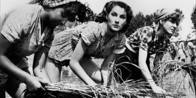 Sinema tarihinde bazı filmler, anlattıkları hikâyenin ötesine geçerek bir dönemin toplumsal yapısını, insan ilişkilerini ve yaşam mücadelelerini görünür kılar. Giuseppe De Santis'in 1949 yılında çektiği Acı Pirinç (Riso Amaro), bu özellikleriyle İtalyan sinemasının dikkat çeken eserleri arasında yer alır. Suç ve dram türlerini toplumsal gerçekçilikle bir araya getiren film, savaş sonrası İtalya'nın ekonomik koşullarını, kadın emeğini ve bireysel çıkarlarla ortak yaşam arasındaki çatışmayı ele alır.